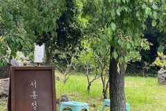 제주 서홍정원 맛집, 흑돼지미트볼과 적채샐러드 즐기기