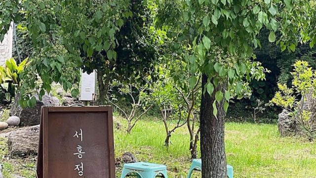 제주 서홍정원 맛집, 흑돼지미트볼과 적채샐러드 즐기기