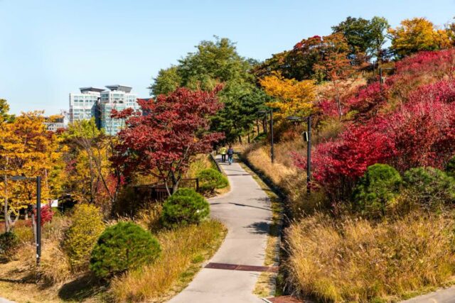 가을 단풍 산책로 5곳 베스트, 엄마아빠 등산화 안챙겨도 괜찮다네요