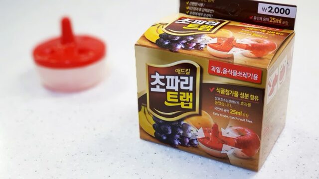 5일간의 다이소 초파리트랩 실험보고서!