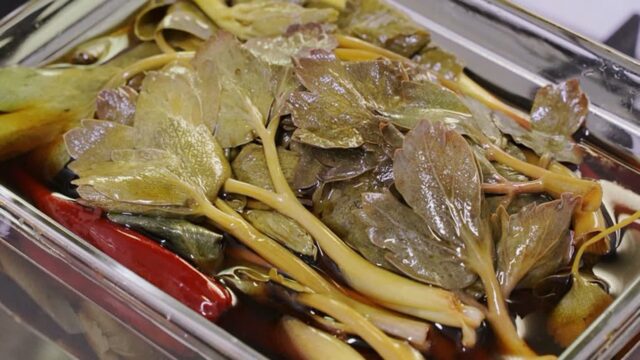 간단하고 맛 좋은 봄나물 방풍나물 장아찌 만들기