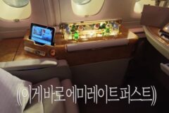 엄마랑 단 둘이 스위스 여행중인 이나연.jpg (에미레이트 퍼스트 체험기)