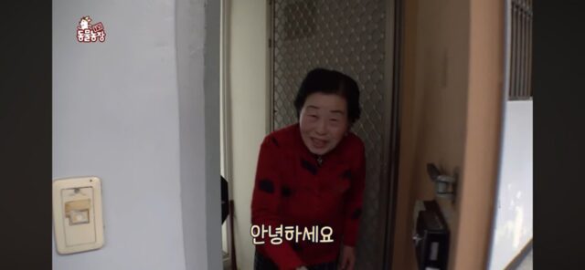 강쪽이인줄 알았던 다솜이의 속사정