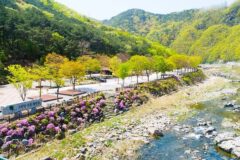 “자연 속에서 시간이 멈춘 줄 알았어요”… 1656㎡ 선암계곡 따라 펼쳐진 명소