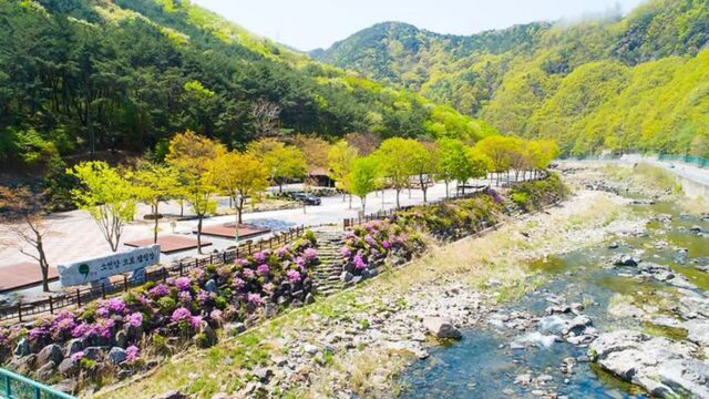 “자연 속에서 시간이 멈춘 줄 알았어요”… 1656㎡ 선암계곡 따라 펼쳐진 명소
