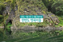 강원도 가볼 만한 곳 영월 선암마을 | 한반도 뗏목마을