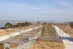 “서해안 끝자락, 이런 고요한 낙원이?”… 1만 평의 자연과 맞닿은 캠핑 여행지