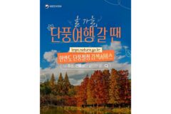 한반도 단풍절정 검색서비스, 주소만 넣으면 척척 알아서 다 해준다?
