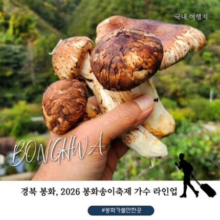 무명전설 장한별·하루·전유진부터 홍진영·변진섭·백지영까지! 2026 봉화송이축제 30주년 기본정보 가수 라인업 총정리
