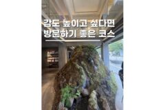 종로데이트코스 서촌 가볼만한곳 지금 당장 가세요 5곳