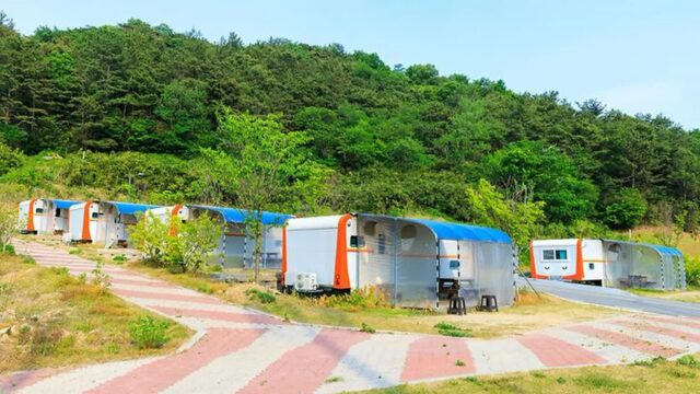“면적 10,000㎡ 와 이런 조화라니…” 저수지 품은 캠핑 명소