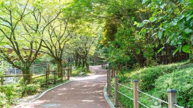 경기 도덕산공원 축제, 가을 정취 만끽하는 방법
