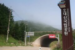 강원 오대산국립공원 체험, 자연과 하나 되는 시간
