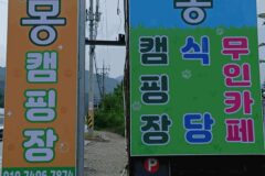 “반려견 수영장이 있다고?”… 2만 평 자연 속 힐링 여행지