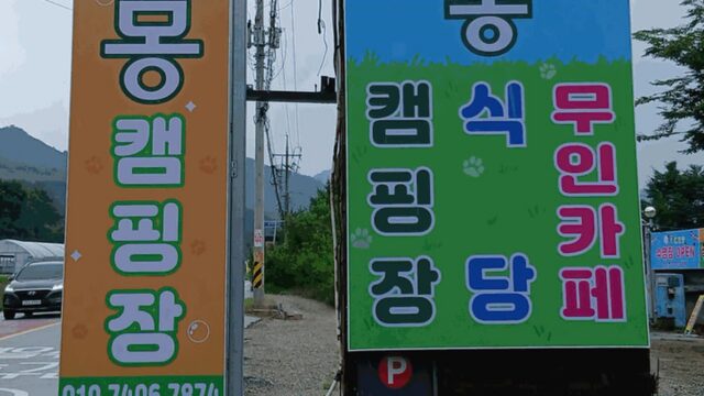 “반려견 수영장이 있다고?”… 2만 평 자연 속 힐링 여행지