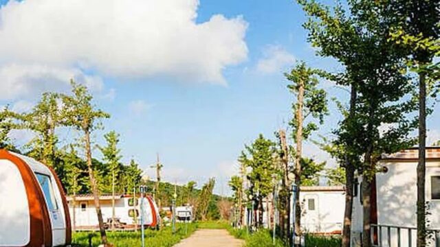 인천 교동섬마을캠핑장 축제, 가을 단풍과 함께하는 캠핑