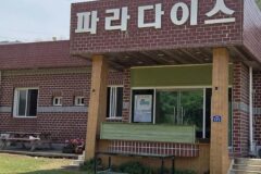 “바다 내음 가득한 캠핑장이 5만㎡라고?”… 자연 속에서 힐링하는 여행지