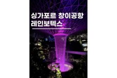 싱가포르창이공항 쥬얼창이 레인 보텍스 포함 놀거리 3