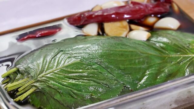 밥한공기 뚝딱! 깻잎장아찌 만드는법