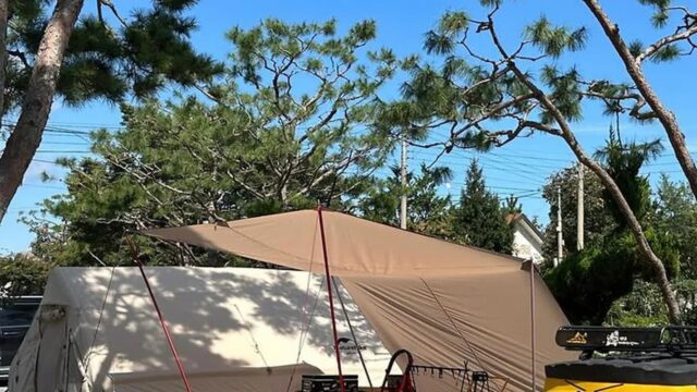 “10,000㎡ 자연 속 캠핑이라니?”… 솔밭캠핑장 명소