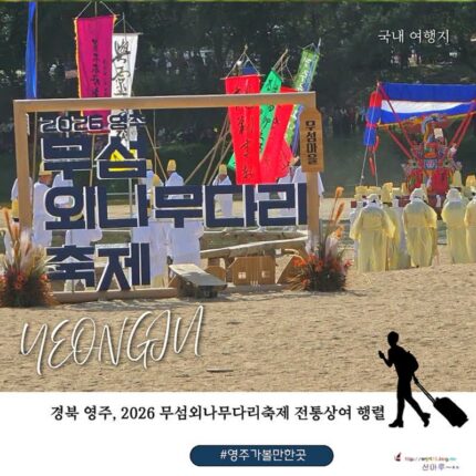 영주 가볼만한 곳 2026 무섬외나무다리축제, 가을 무섬마을에서 만난 특별한 풍경