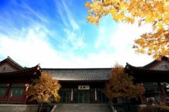 “3000평 대지 위에 숨겨진 고요함”… 서울 도심 속 역사적 명소 삼청각