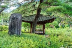강원 봉황둘레길 자연속 힐링 명소, 대중교통 이용 추천