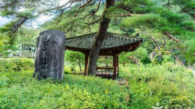 강원 봉황둘레길 자연속 힐링 명소, 대중교통 이용 추천