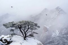 북한산 입장료 정보와 함께 즐기는 2026년 가을 산행 가이드
