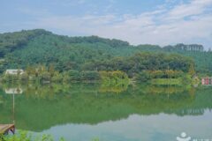 경기 덕산저수지 가을 축제, 자연 속에서 즐기는 낭만