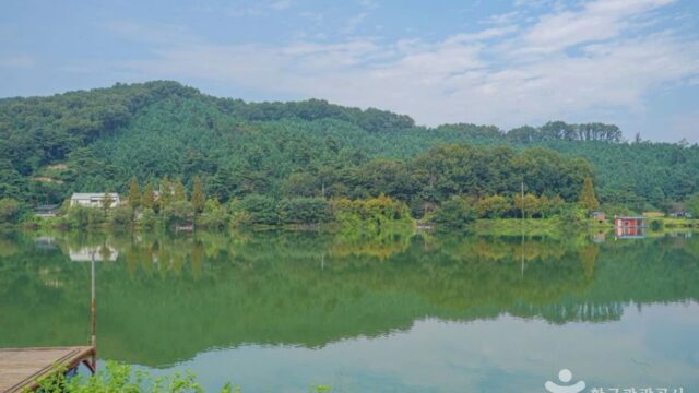 경기 덕산저수지 가을 축제, 자연 속에서 즐기는 낭만