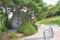 경기 황송공원 체험, 자연에서 즐기는 사계절 액티비티