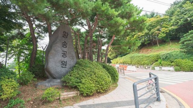 경기 황송공원 체험, 자연에서 즐기는 사계절 액티비티