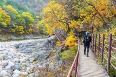 단풍 산행 1순위! 설악산 단풍 시기 및 코스별 준비물 안내