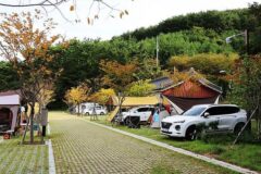 “한산섬 10,000평에서 이런 별밤을 볼 줄이야”… 자연과 역사가 어우러진 캠핑 명소