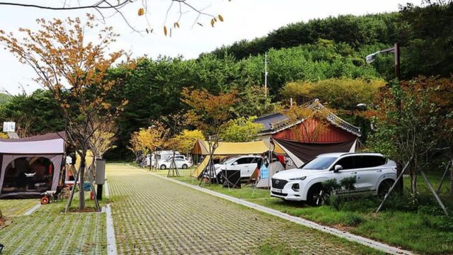 “한산섬 10,000평에서 이런 별밤을 볼 줄이야”… 자연과 역사가 어우러진 캠핑 명소