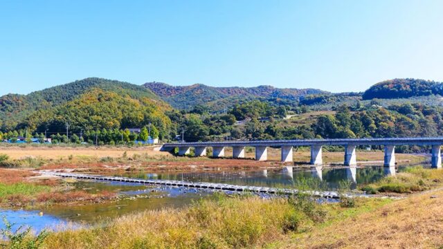 경북 길안천지생태공원 축제, 자연 속 특별한 가을 체험