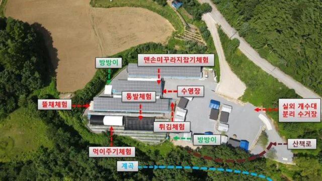 “미꾸라지 직접 체험이 이렇게 재밌다고?”… 2,000㎡ 자연 속 특별 여행지