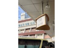 사진 한 장에 꽂혀서 바다로 떠난 속초 혼여🌊📚
