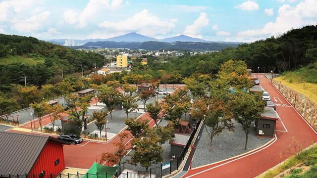 “울창한 숲 사이 2만 평 캠핑장이 무료?”… 가족과 웃음꽃 피우는 명소