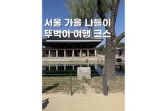 서울가을나들이 광화문광장 경복궁까지 뚜벅이코스