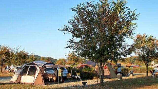 “무려 10,000㎡에 이런 평화가!”… 자연과 하나 되는 여주 대신 오토 캠핑 여행지