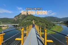 충청남도 가볼 만한 곳 | 금산 월영산 출렁다리