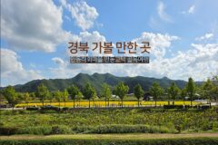 경북 가볼 만한 곳 안동 하회마을 안동 고택 골목여행