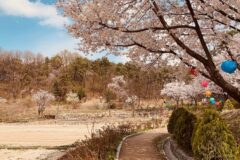 경기 보현선원 체험, 마음의 평화 찾는 수원 명소