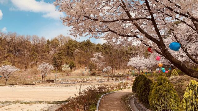 경기 보현선원 체험, 마음의 평화 찾는 수원 명소