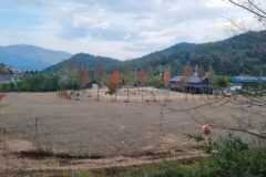 “20,000㎡ 캠핑장이라니, 진짜 넓네요”… 자연 속 고요한 힐링 여행지