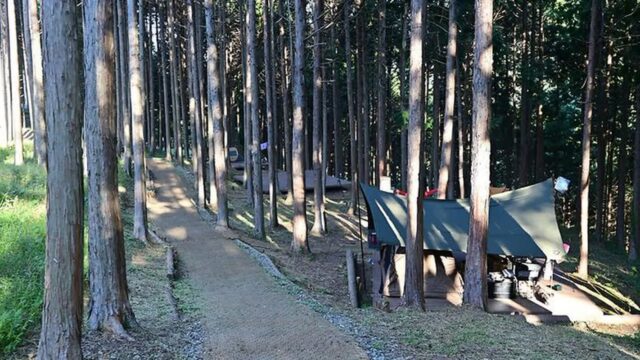“100,000㎡ 넓이의 자연 속 쉼터라니”… 숲과 바다가 어우러진 감동 여행지
