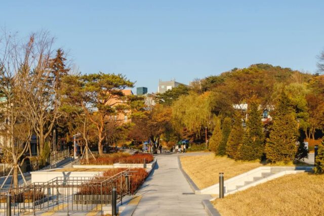 관악구 골프장 추천 5곳: 최신 가이드와 방문 정보