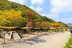 “경주에서 30km 떨어졌다고?”… 산속에서 별 쏟아지는 힐링 명소